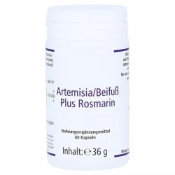 Артемизинин 150 мг капс. 60шт в Хасавюрте и области фото